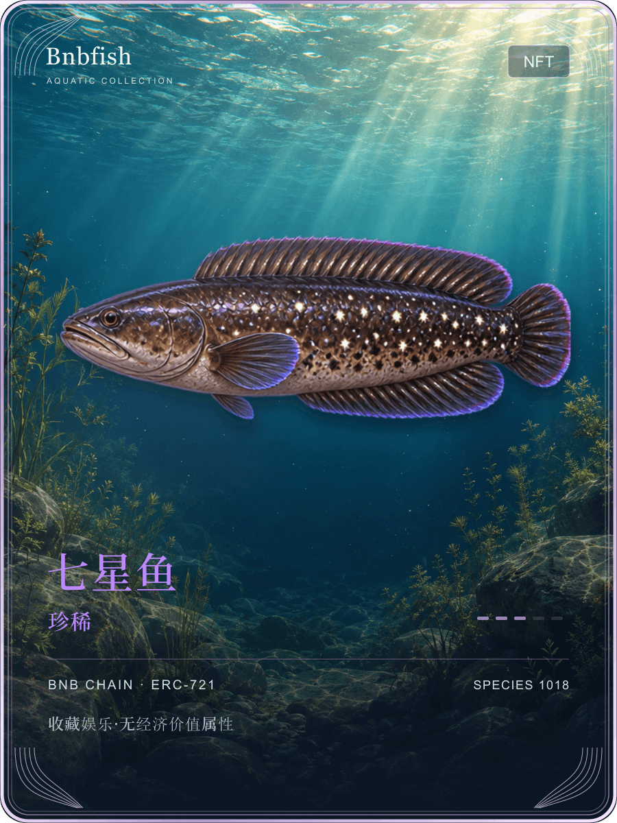 Bnbfish 收藏卡